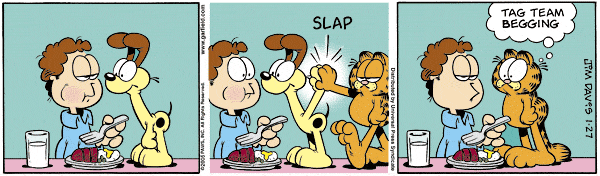 garfield